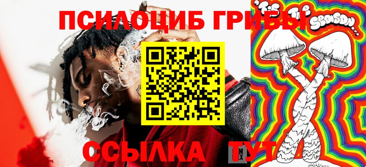 Псилоцибиновые грибы мухоморы  Вход с VPN  Ступино  Галлюциногенные грибы Psilocybe 