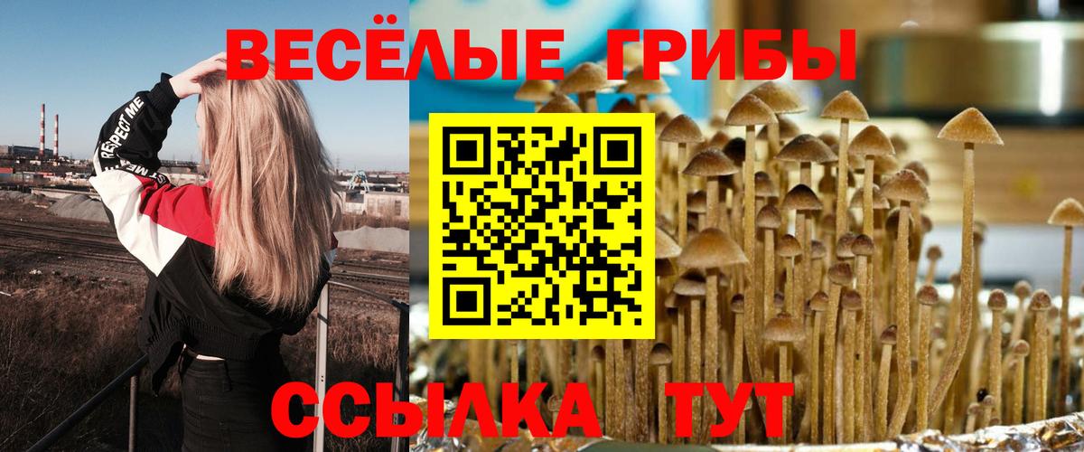 Псилоцибиновые грибы прущие грибы Ступино